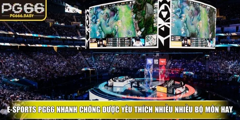 E-Sports PG66 – Không Gian Thể Thao Điện Tử Đỉnh Cao - Getuxa