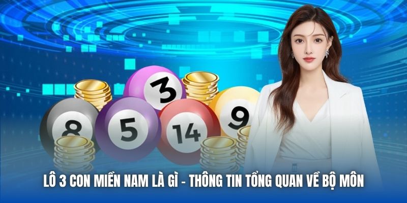 Lô 3 Con Miền Nam Là Gì - Thông Tin Tổng Quan Về Bộ Môn - Getuxa