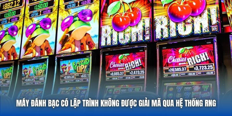 Máy Đánh Bạc Có Lập Trình Không - Giải Mã Bí Cùng Chuyên Gia - Getuxa