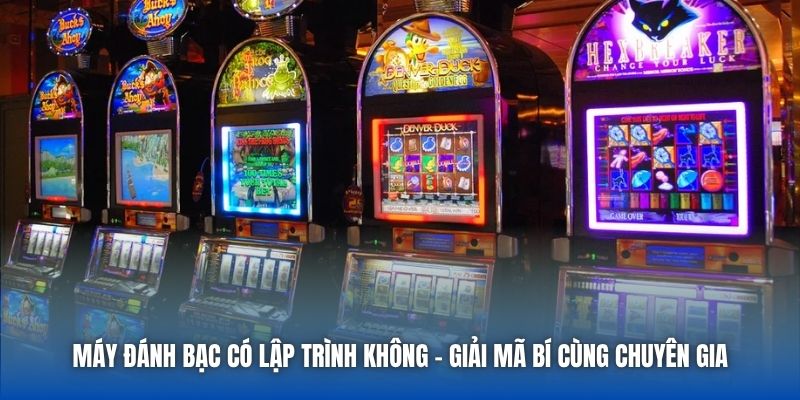 Máy Đánh Bạc Có Lập Trình Không - Giải Mã Bí Cùng Chuyên Gia - Getuxa