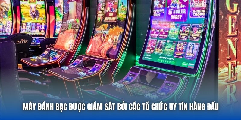 Máy Đánh Bạc Có Lập Trình Không - Giải Mã Bí Cùng Chuyên Gia - Getuxa
