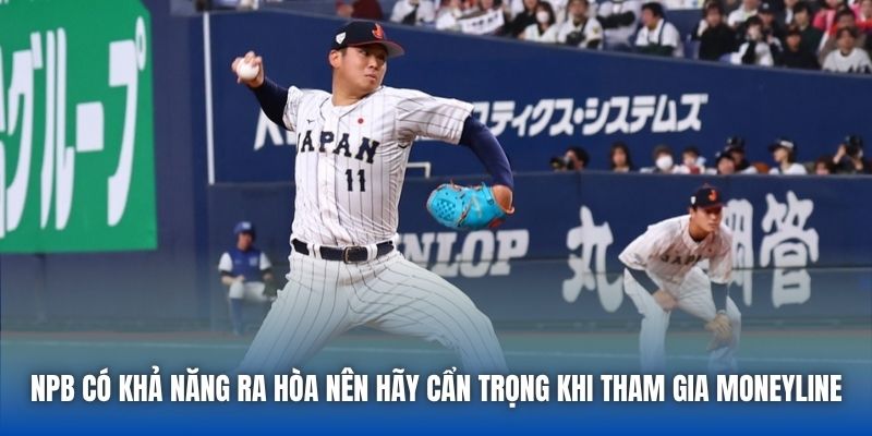 Giải Mã Tỷ Lệ Cược Bóng Chày Nhật Bản Cho Tân Binh - Getuxa