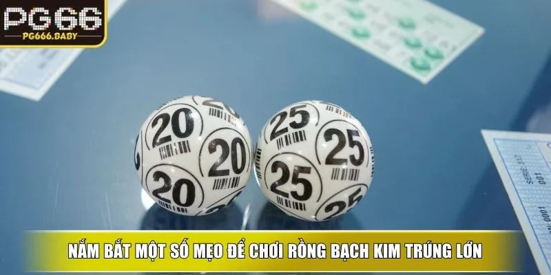 Rồng Bạch Kim – Trải Nghiệm Xổ Số Đẳng Cấp Tại PG66 - Getuxa