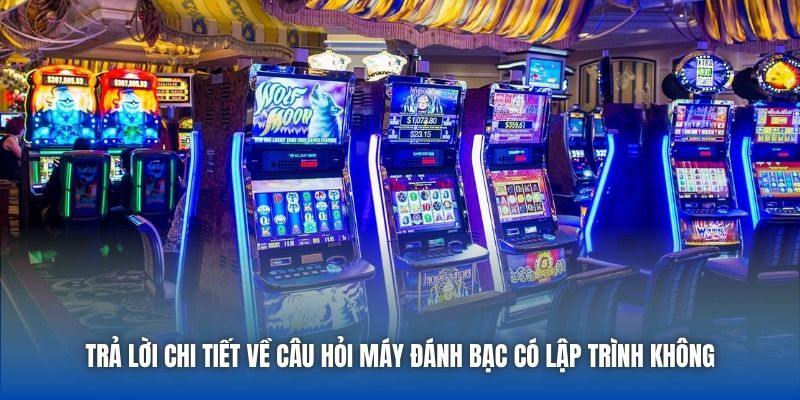 Máy Đánh Bạc Có Lập Trình Không - Giải Mã Bí Cùng Chuyên Gia - Getuxa