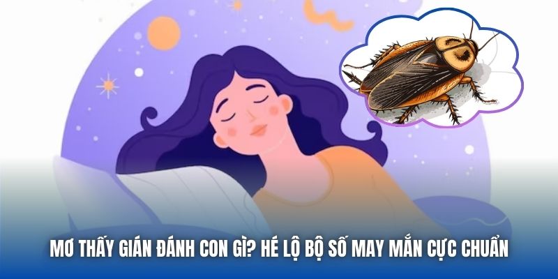 Mơ Thấy Gián Đánh Con Gì? Hé Lộ Bộ Số May Mắn Cực Chuẩn - Getuxa