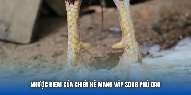 Vảy Song Phủ Đao Thắng Hay Thua? Lời Giải Đáp Từ Chuyên Gia - Getuxa