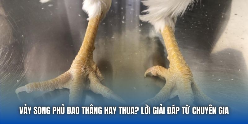 Vảy Song Phủ Đao Thắng Hay Thua? Lời Giải Đáp Từ Chuyên Gia - Getuxa
