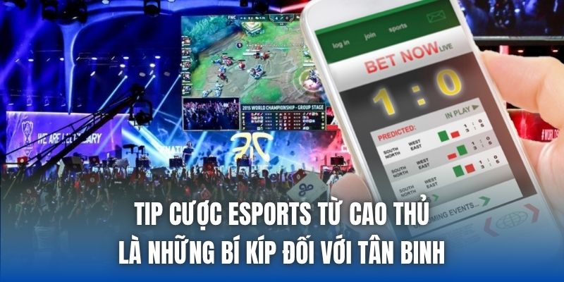 Tip Cược Esports Từ Cao Thủ - Chiến Thuật Thắng Lớn Đỉnh Cao - Getuxa