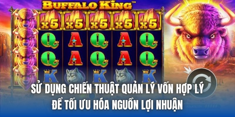 Buffalo King | Đánh Giá Chi Tiết Siêu Phẩm Nổ Hũ Hoang Dã - Getuxa