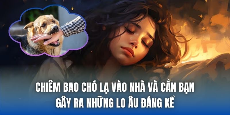 Mơ Thấy Chó Lạ Vào Nhà Điềm Gì, Tốt Hay Xấu? - Getuxa