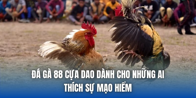 Đá Gà 88 Là Gì? Thưởng Thức Chọi Kê Online Sống Động - Getuxa
