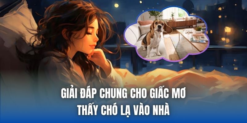 Mơ Thấy Chó Lạ Vào Nhà Điềm Gì, Tốt Hay Xấu? - Getuxa