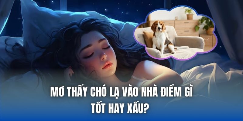 Mơ Thấy Chó Lạ Vào Nhà Điềm Gì, Tốt Hay Xấu? - Getuxa
