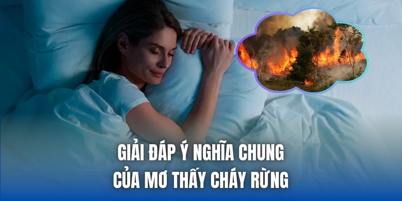Mơ Thấy Cháy Rừng Là Điềm Gì? Giải Mã Chi Tiết Chiêm Bao - Getuxa