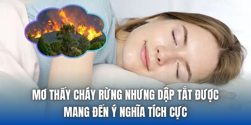 Mơ Thấy Cháy Rừng Là Điềm Gì? Giải Mã Chi Tiết Chiêm Bao - Getuxa