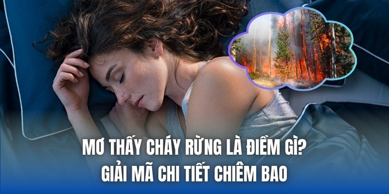 Mơ Thấy Cháy Rừng Là Điềm Gì? Giải Mã Chi Tiết Chiêm Bao - Getuxa