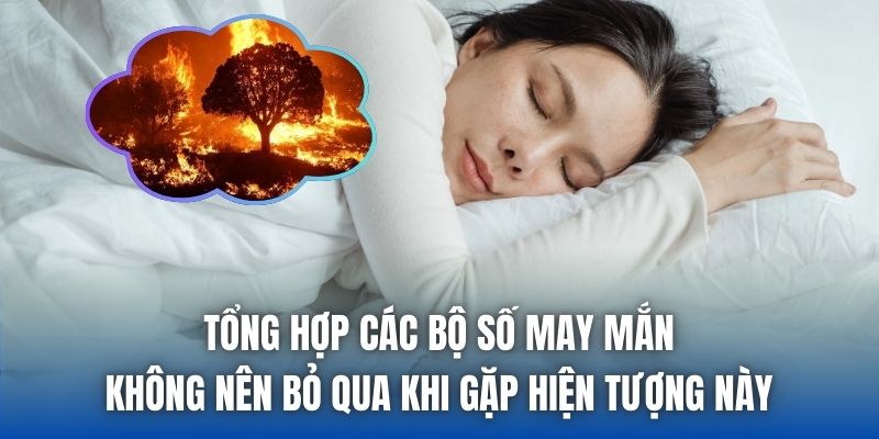 Mơ Thấy Cháy Rừng Là Điềm Gì? Giải Mã Chi Tiết Chiêm Bao - Getuxa