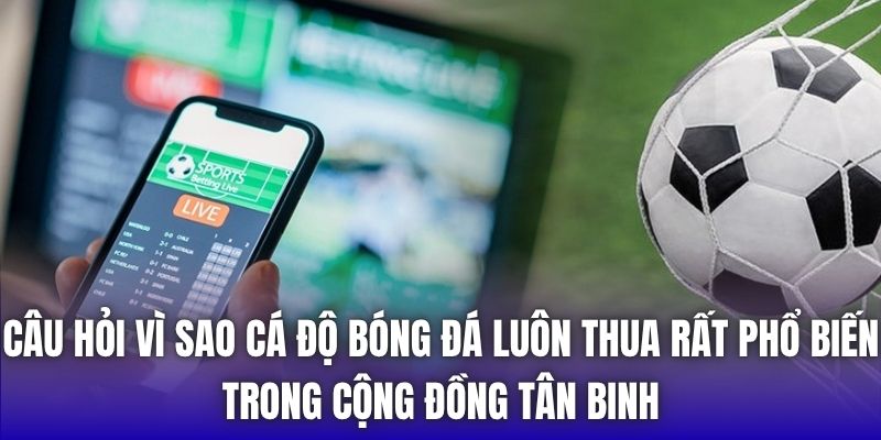Vì Sao Cá Độ Bóng Đá Luôn Thua | Giải Mã Bí Ẩn - Getuxa