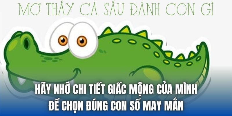 Mơ Thấy Cá Sấu Đánh Con Gì | Điềm Báo Từ Loài Vật Đáng Sợ - Getuxa