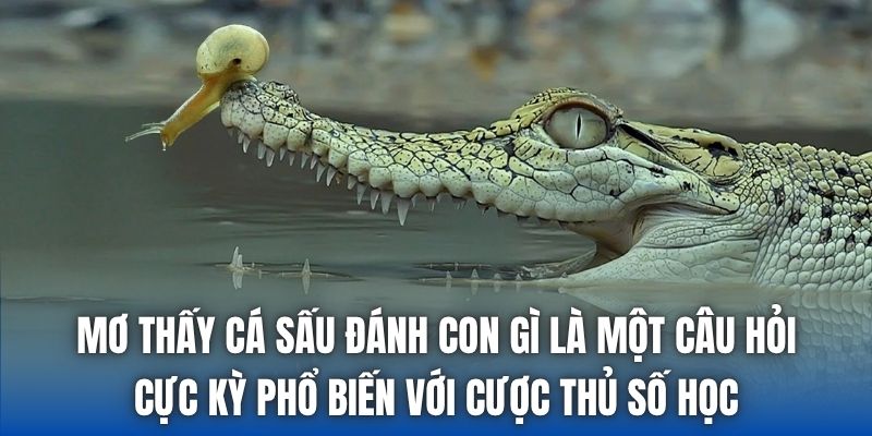 Mơ Thấy Cá Sấu Đánh Con Gì | Điềm Báo Từ Loài Vật Đáng Sợ - Getuxa