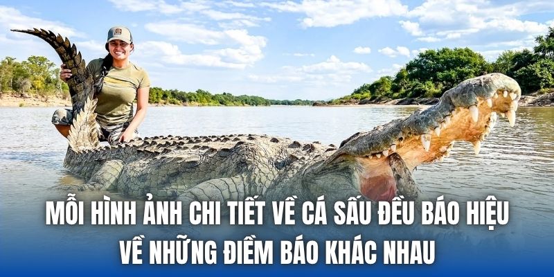Mơ Thấy Cá Sấu Đánh Con Gì | Điềm Báo Từ Loài Vật Đáng Sợ - Getuxa