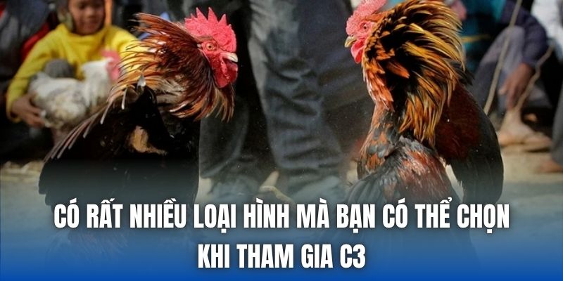 Đá Gà Trực Tiếp C3 | Thế Giới Riêng Của Kê Thủ - Getuxa