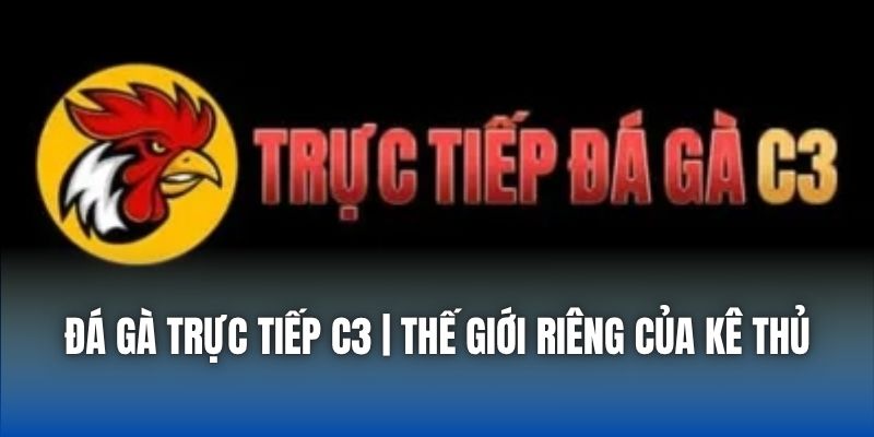 Tin Tức 88CLB Cập Nhật Nhanh Trong 24H - Getuxa