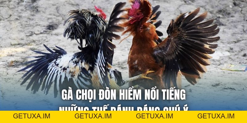 Tin Tức 88CLB Cập Nhật Nhanh Trong 24H - Getuxa