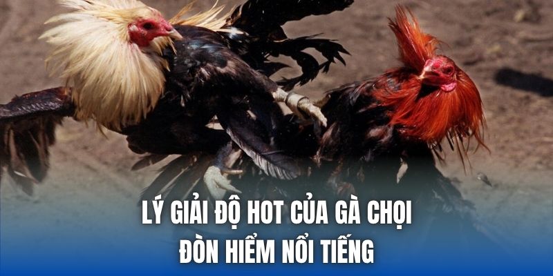 Gà Chọi Đòn Hiểm Nổi Tiếng - Những Thế Đánh Đáng Chú Ý - Getuxa