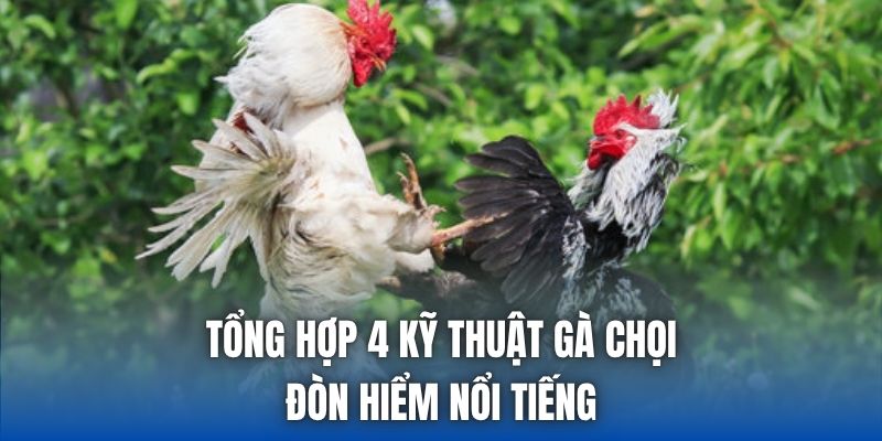 Gà Chọi Đòn Hiểm Nổi Tiếng - Những Thế Đánh Đáng Chú Ý - Getuxa